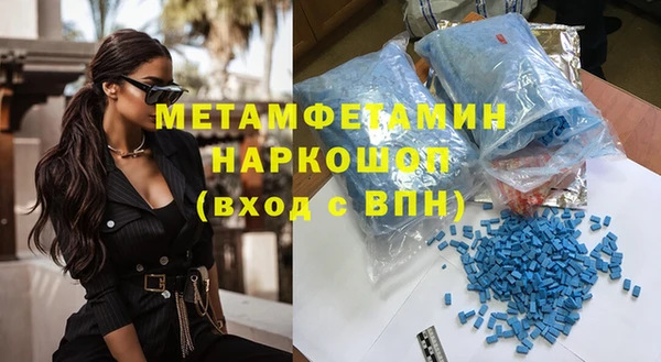 индика Алексин