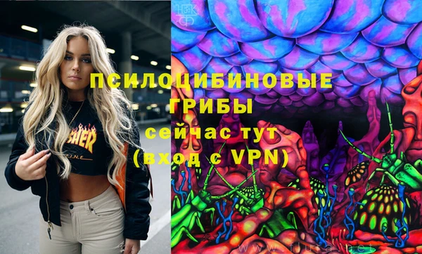 индика Алексин